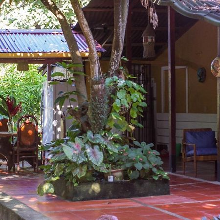 Mi Refugio Tayrona Hotel Santa Marta  Buitenkant foto