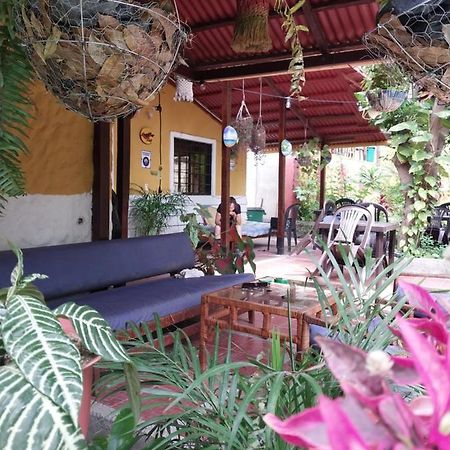 Mi Refugio Tayrona Hotel Santa Marta  Buitenkant foto