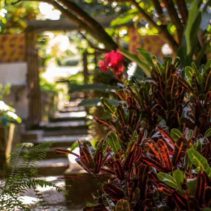 Mi Refugio Tayrona Hotel Santa Marta  Buitenkant foto