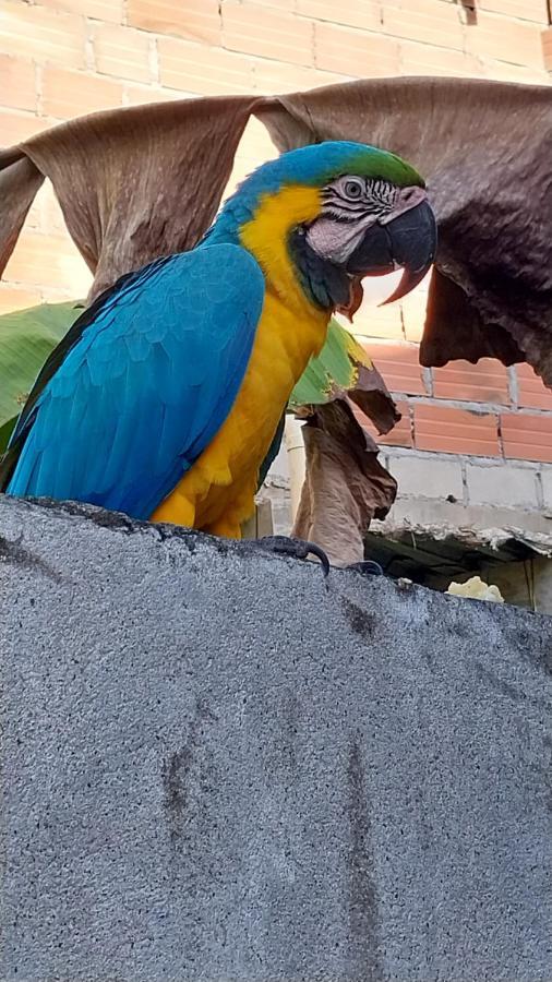 Mi Refugio Tayrona Hotel Santa Marta  Buitenkant foto