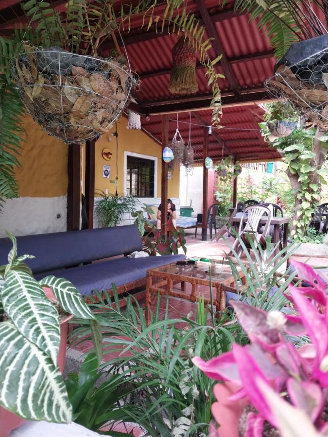 Mi Refugio Tayrona Hotel Santa Marta  Buitenkant foto