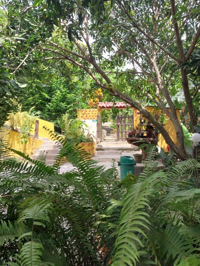 Mi Refugio Tayrona Hotel Santa Marta  Buitenkant foto